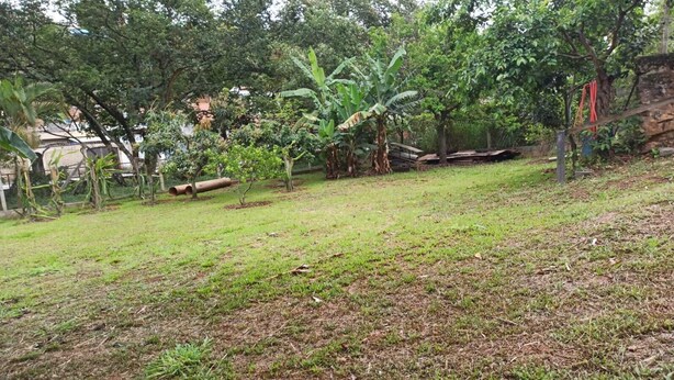 A grassy outdoor area with trees and a stone wall. - Apartment 4 Great Location in Alumínio (Alumínio)