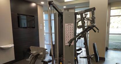 Penthouse with swimming pool, saunas, fitness room, BBQ area and indoor carwash.