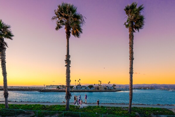A waterfront promenade with palm trees and people walking.