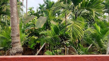 Deluxe Room, Garden View | Terrace/patio
