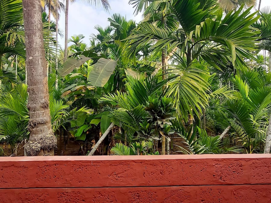 Deluxe Room, Garden View | Terrace/patio