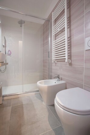 Shower, hair dryer, bidet, towels