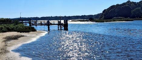 بالقرب من الشاطئ