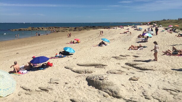 A sandy beach with people sunbathing and walking. - "Sunshine-Mbh 61-Sea view-6p (Quiberon)