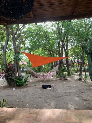 Property grounds - The Lazy Tortuga -Cozy 1-bedroom in marvelous Playa SanDiego with AC, WiFi (Villa Carlos Fonseca)