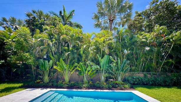 A rectangular swimming pool with clear blue water, surrounded by a variety of tropical plants and trees, and a grassy area in the foreground. - Spacious 3BR Home 2 Baths Amazing Pool Area (Wilton Manors)