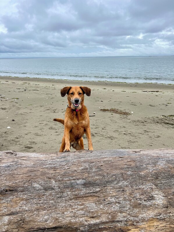 Beach nearby