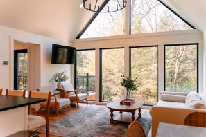 Tv, dvd-afspiller, bøger, videobibliotek