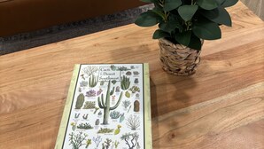 A jigsaw puzzle box titled "Cacti of the Desert Southwest" on a wooden table with a potted plant beside it. - Hot tub stargazing, pet friendly! Downtown & hiking nearby. (Tucson)