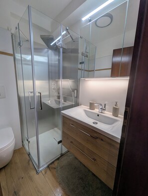 Shower, hair dryer, towels, soap