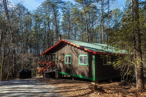 A cabin with a metal staircase leading to a deck, surrounded by a forest. - The Love Shack (Sautee Nacoochee)