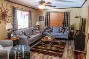 Smart TV, fireplace, books