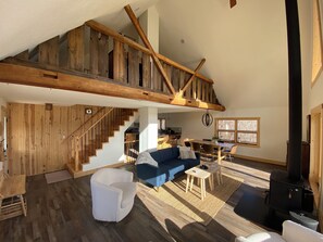 TV, fireplace, books