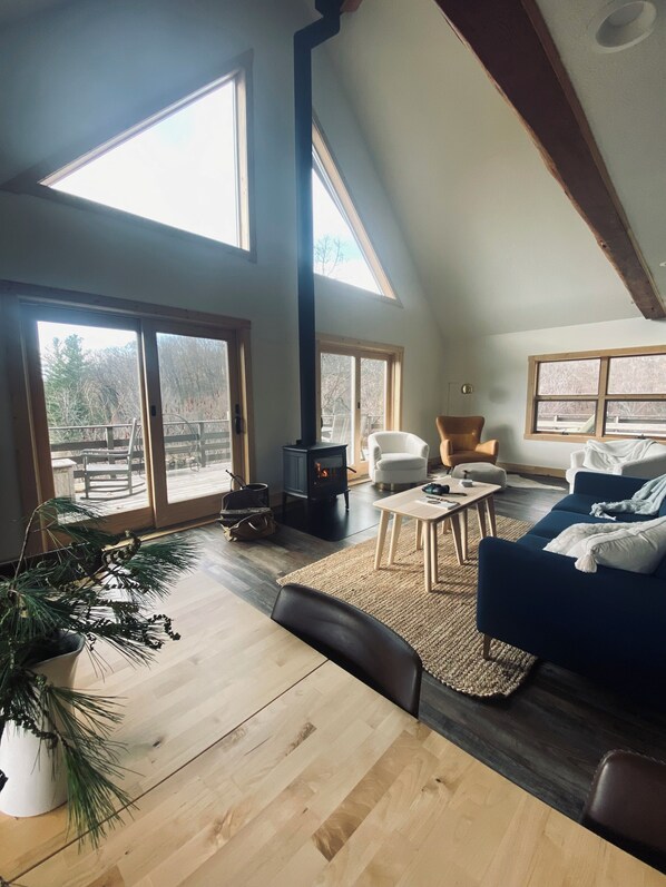 TV, fireplace, books