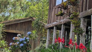 A rustic wooden house with a balcony, surrounded by lush greenery and flowering plants.
