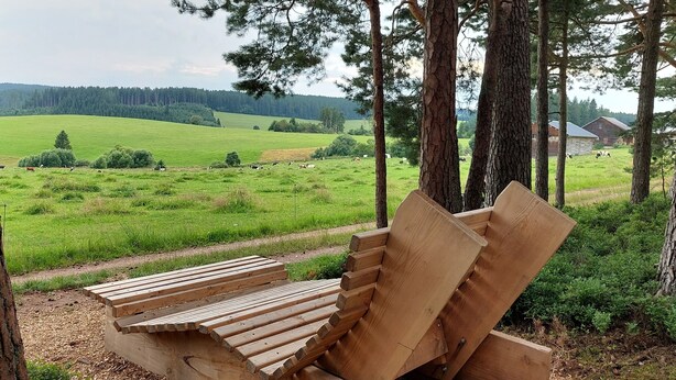 Puinen penkki metsäisellä alueella, josta avautuu näkymä vihreälle pellolle ja kauempana sijaitseville rakennuksille.
