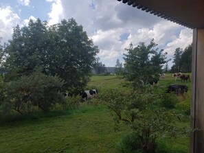 Vista da propriedade