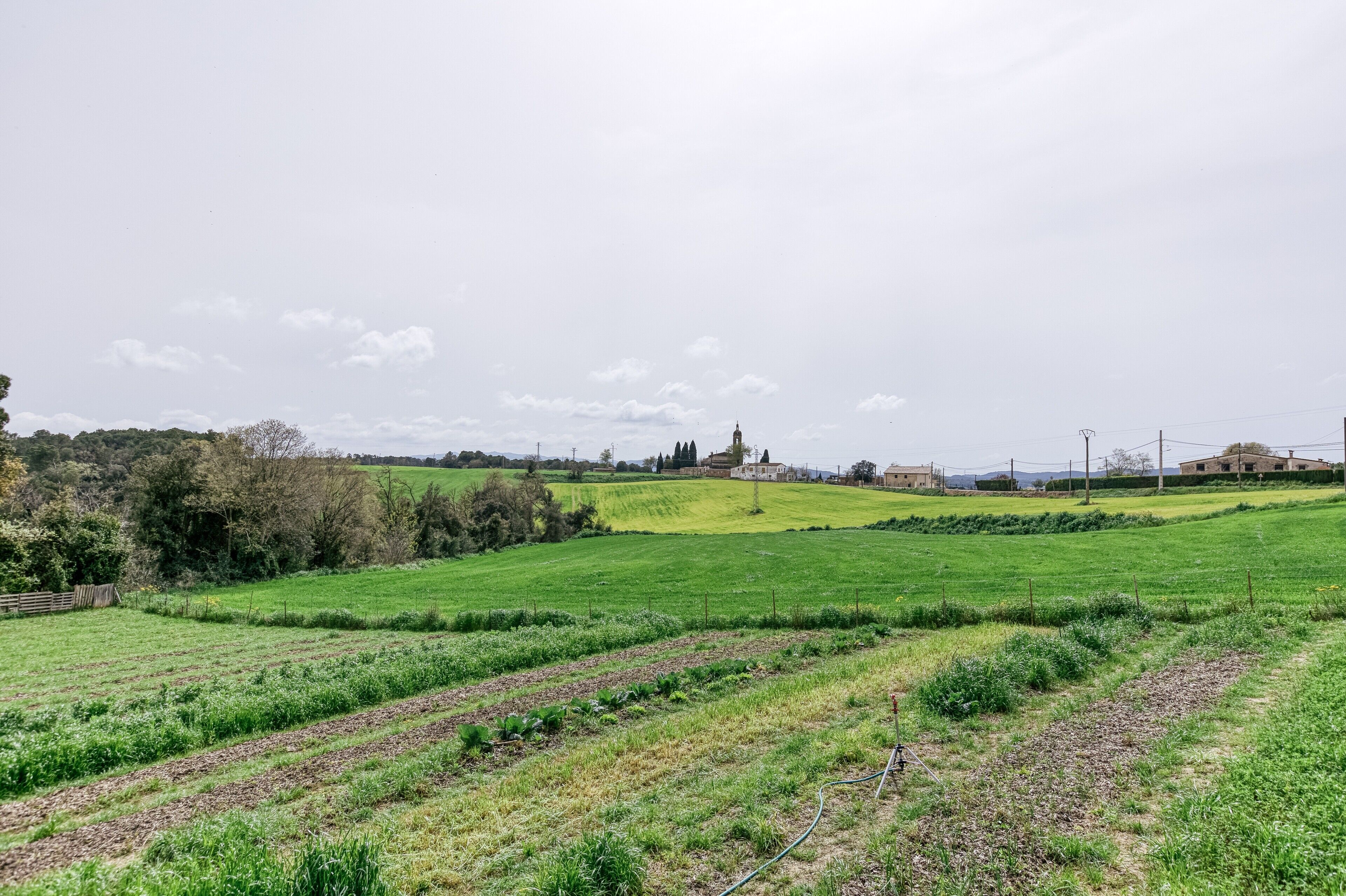 A rural landscape with fields, a distant building, and a cloudy sky.