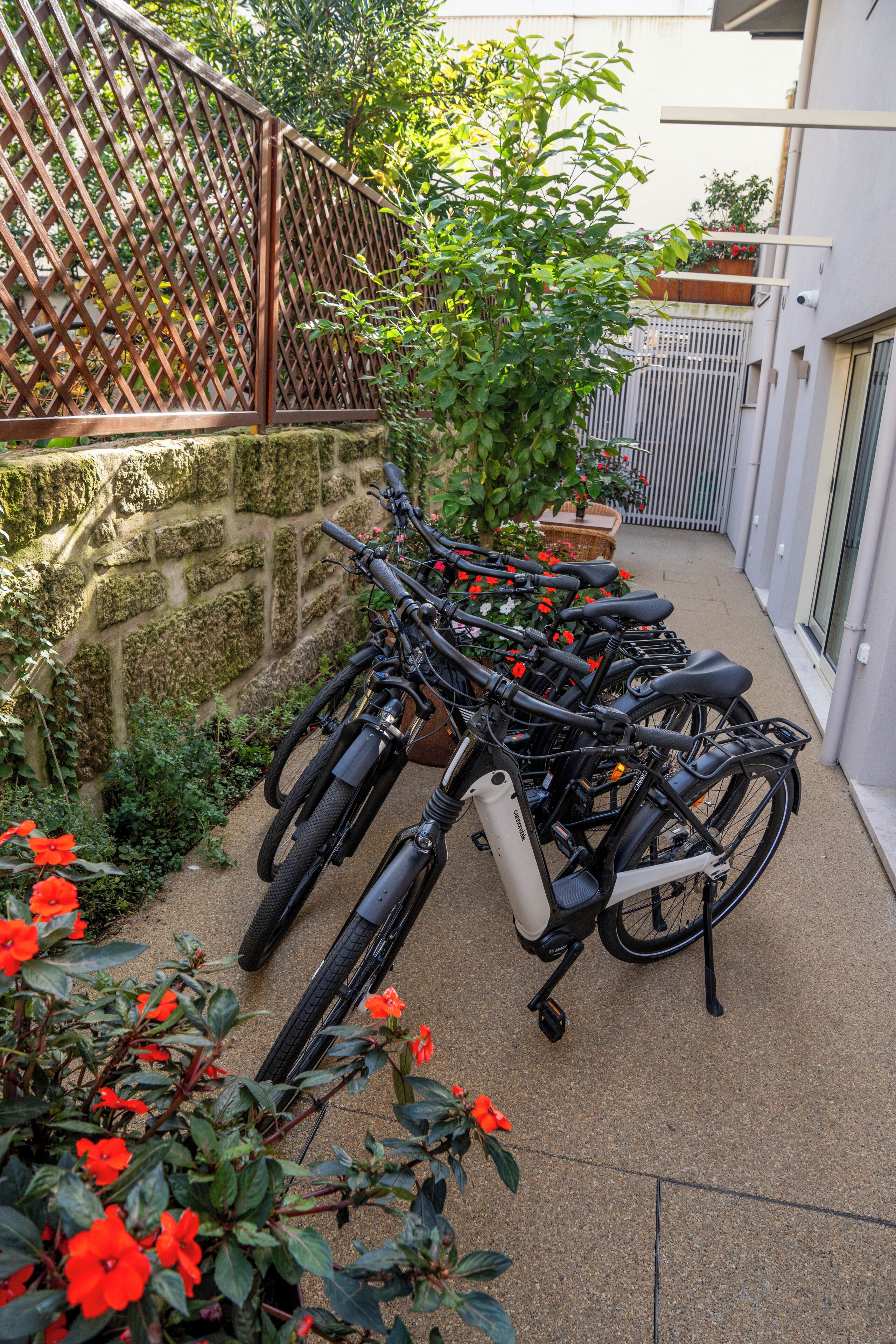 Photo - Ocean Boutique Guesthouse