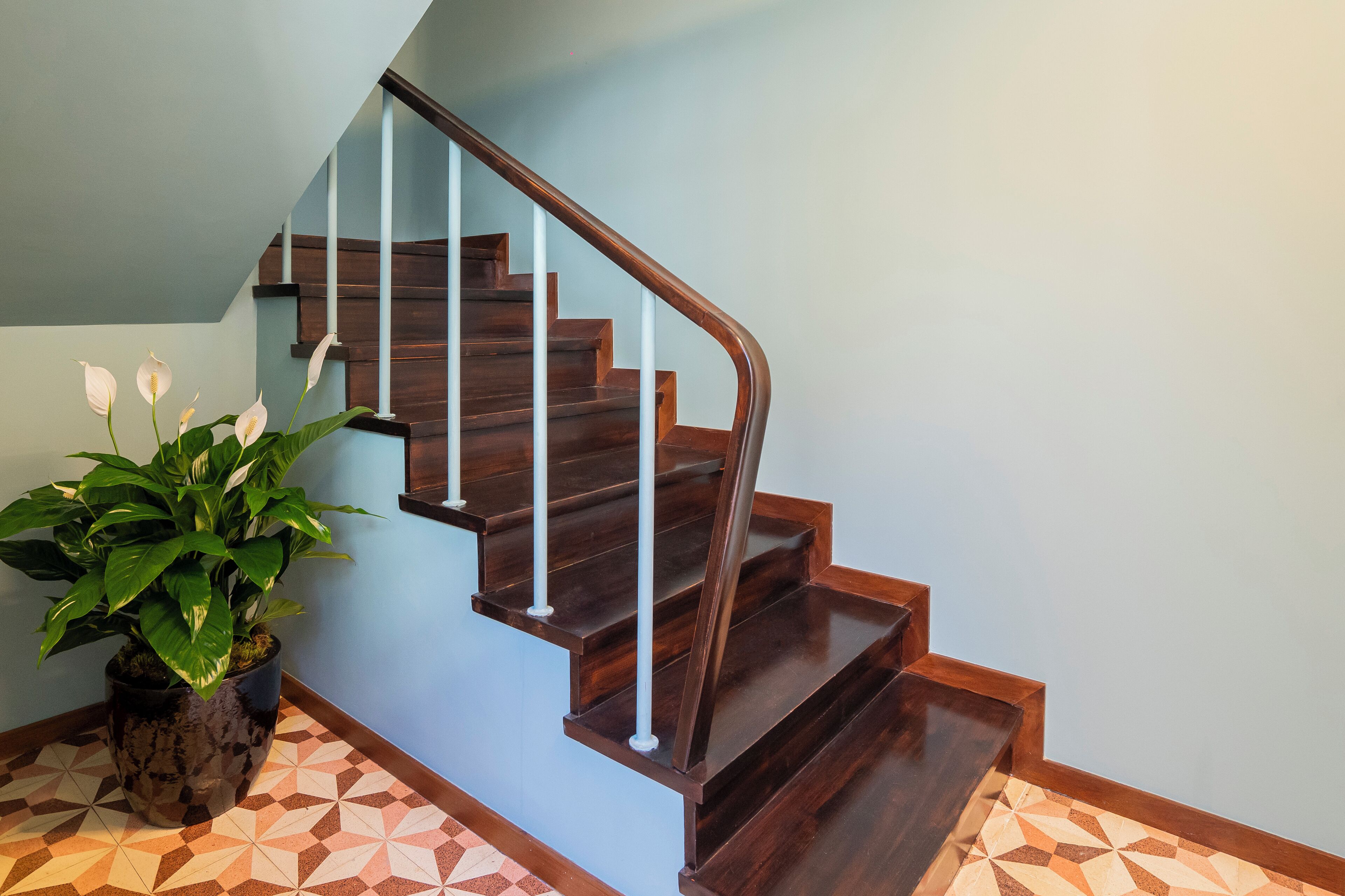 Photo - Ocean Boutique Guesthouse