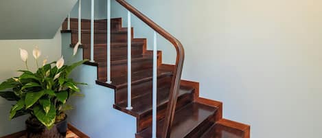 A wooden staircase with white balusters and a potted plant beside it.