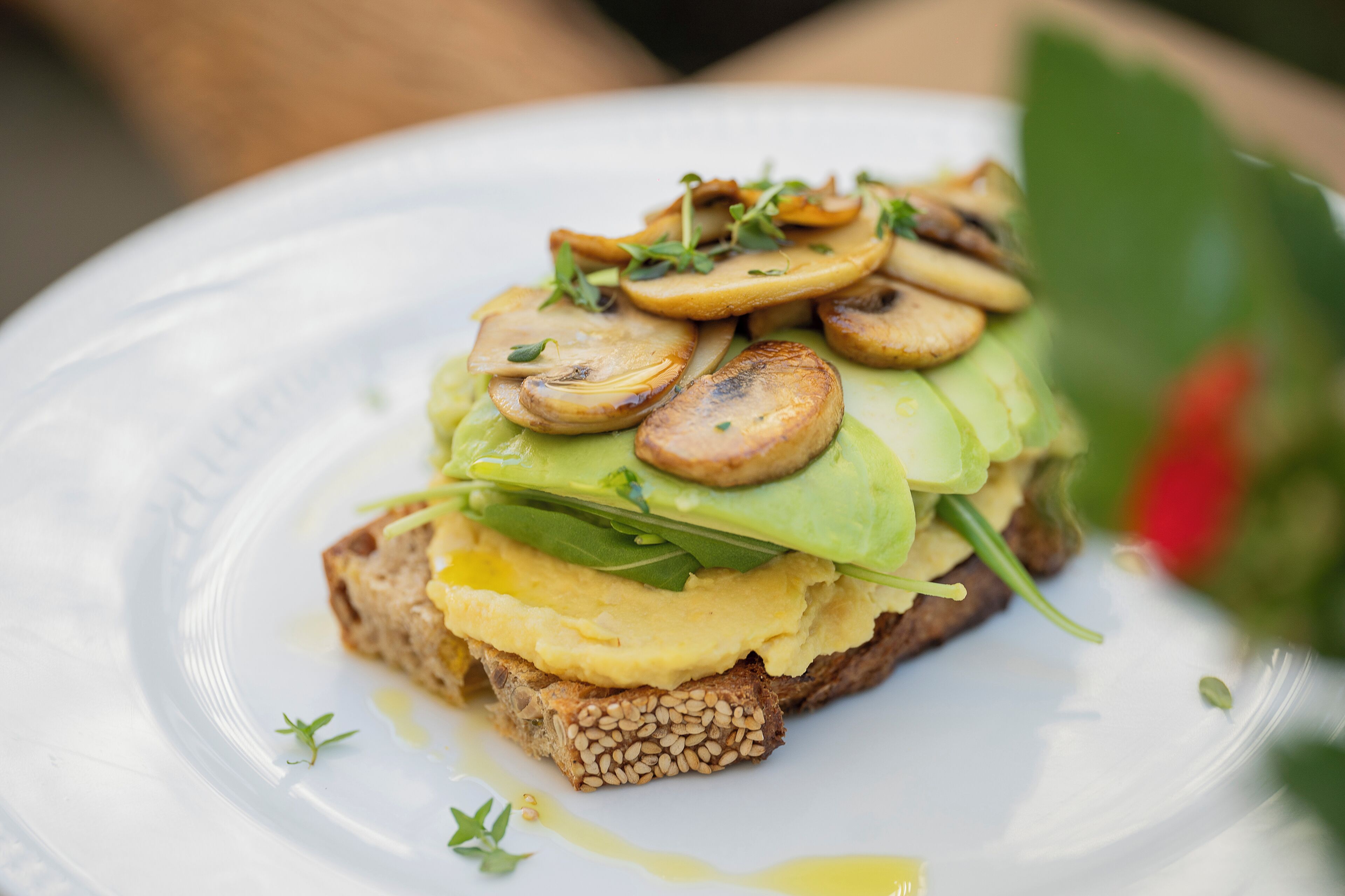 Photo - Ocean Boutique Guesthouse