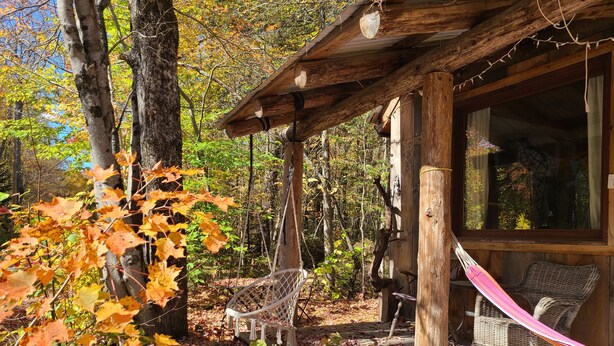Eine rustikale Holzhütte mit einer Hängematte, Korbstühlen und einer Holzterrasse, umgeben von Herbstlaub.