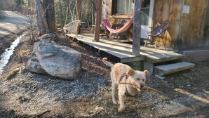 Ein rustikales Holzhäuschen mit Veranda, einer Hängematte und einem vorbeigehenden Hund.
