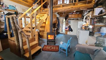 电视、壁炉、DVD 播放器、书