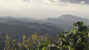 Panoramic Cabin | View from room - Campos de Oro Wilderness Lodge (Sierra)