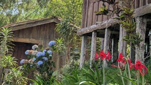 Una casa de madera rústica con un porche, rodeada de abundante vegetación y plantas con flores.