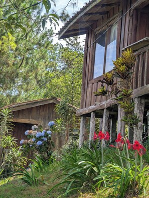 Front of property - Campos de Oro Wilderness Lodge (Sierra)