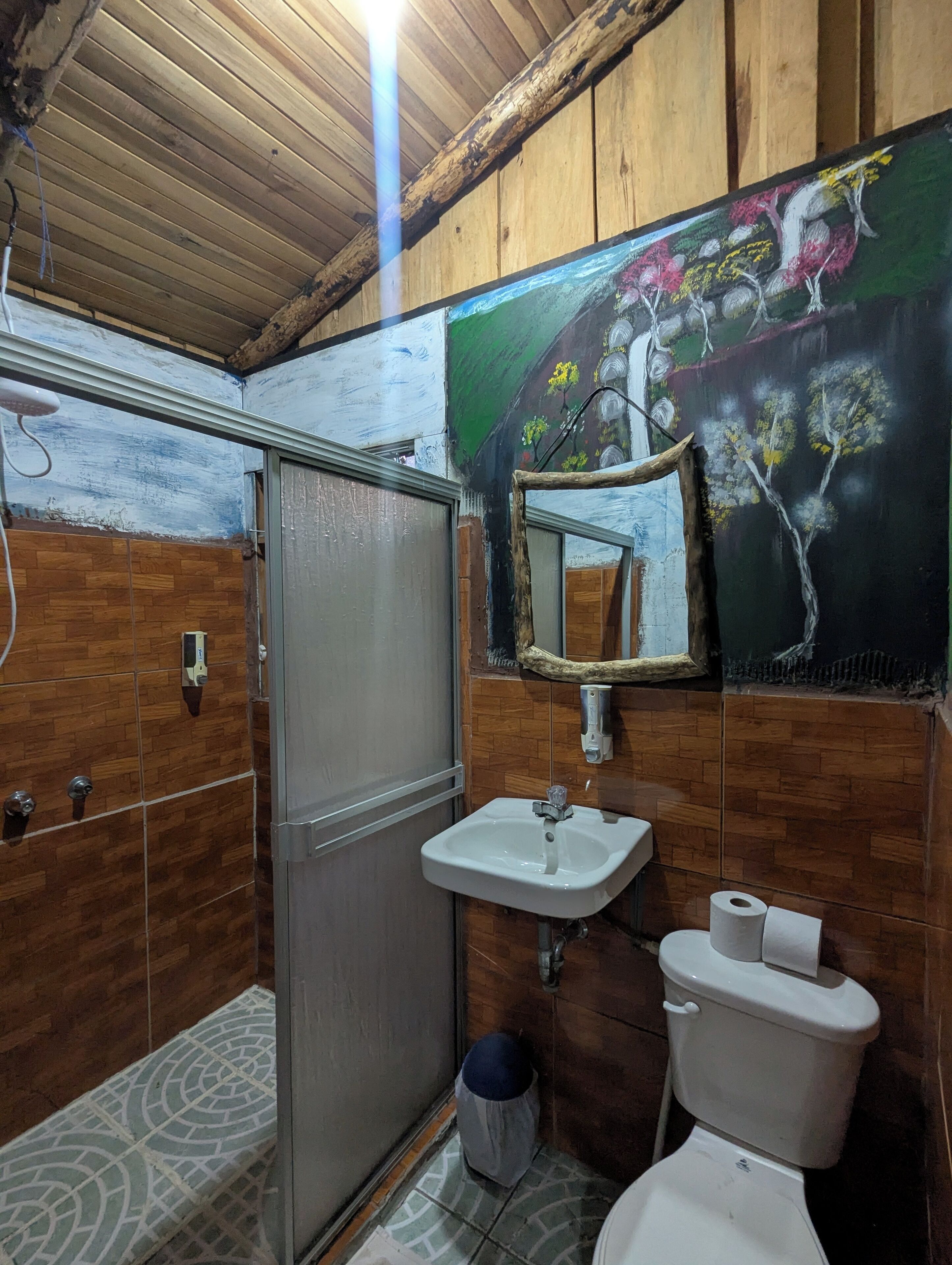 Un baño con ducha, lavamanos, inodoro y espejo decorado con una pintura.