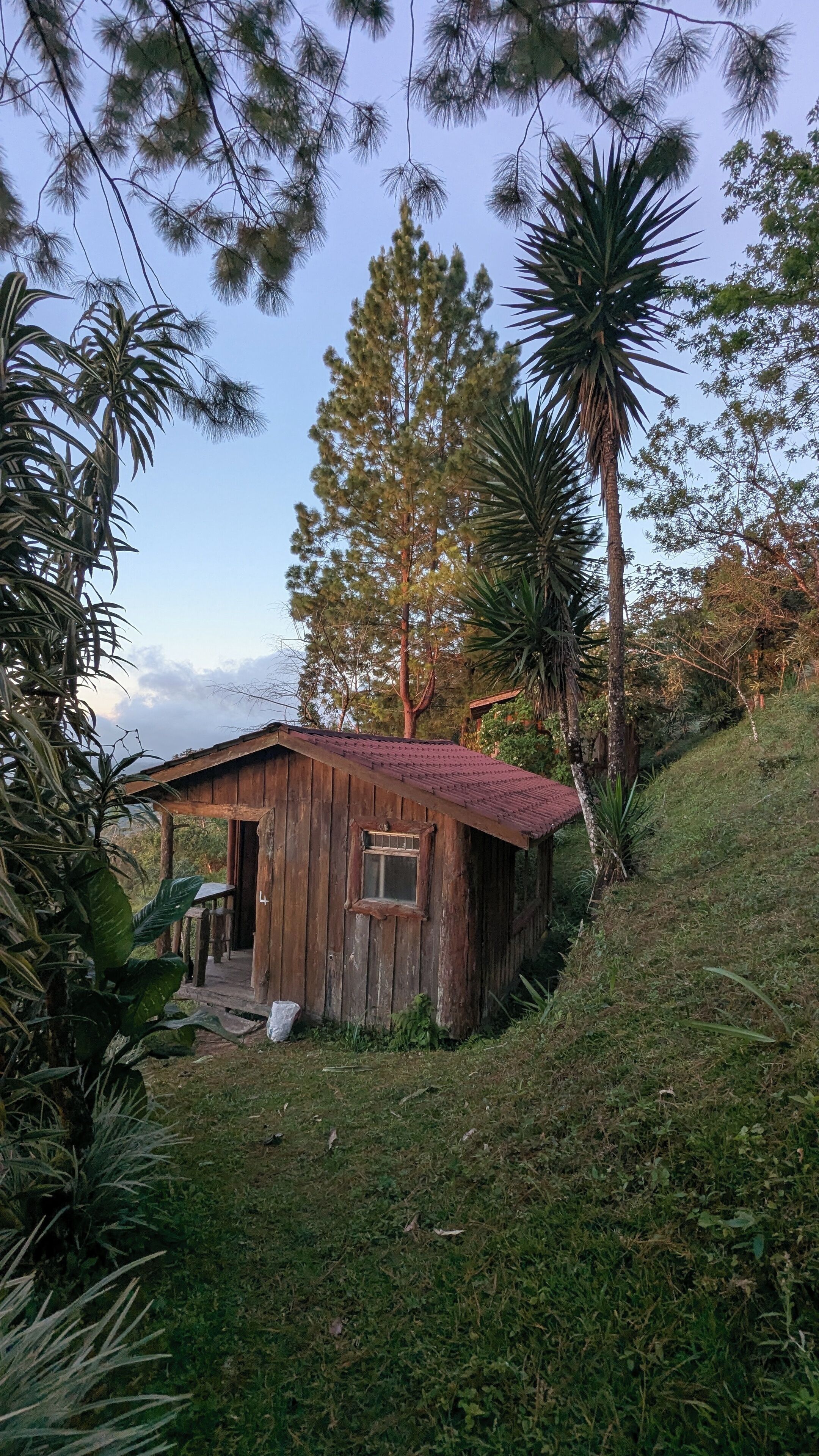 A rustic wooden cabin with a sloped roof, surrounded by lush greenery and tall trees.