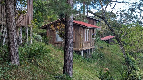 Property grounds - Campos de Oro Wilderness Lodge (Sierra)