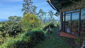 Una casa moderna con un invernadero de vidrio, rodeada de abundante vegetación y con vistas a un paisaje pintoresco.