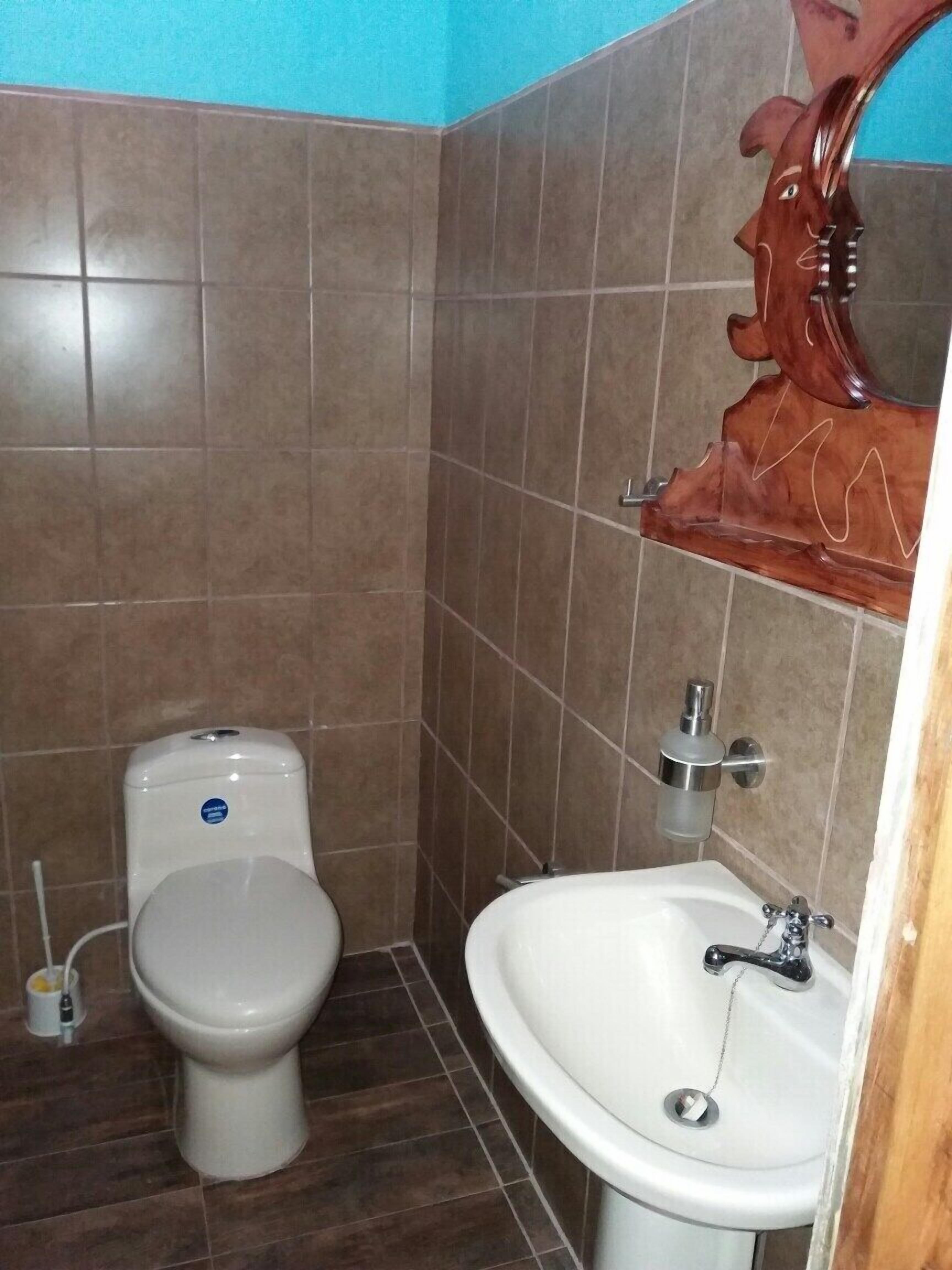 A small bathroom with a toilet, sink, and a decorative wooden shelf above the sink.