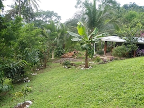 Cottage, Private Bathroom, Lake View | Garden