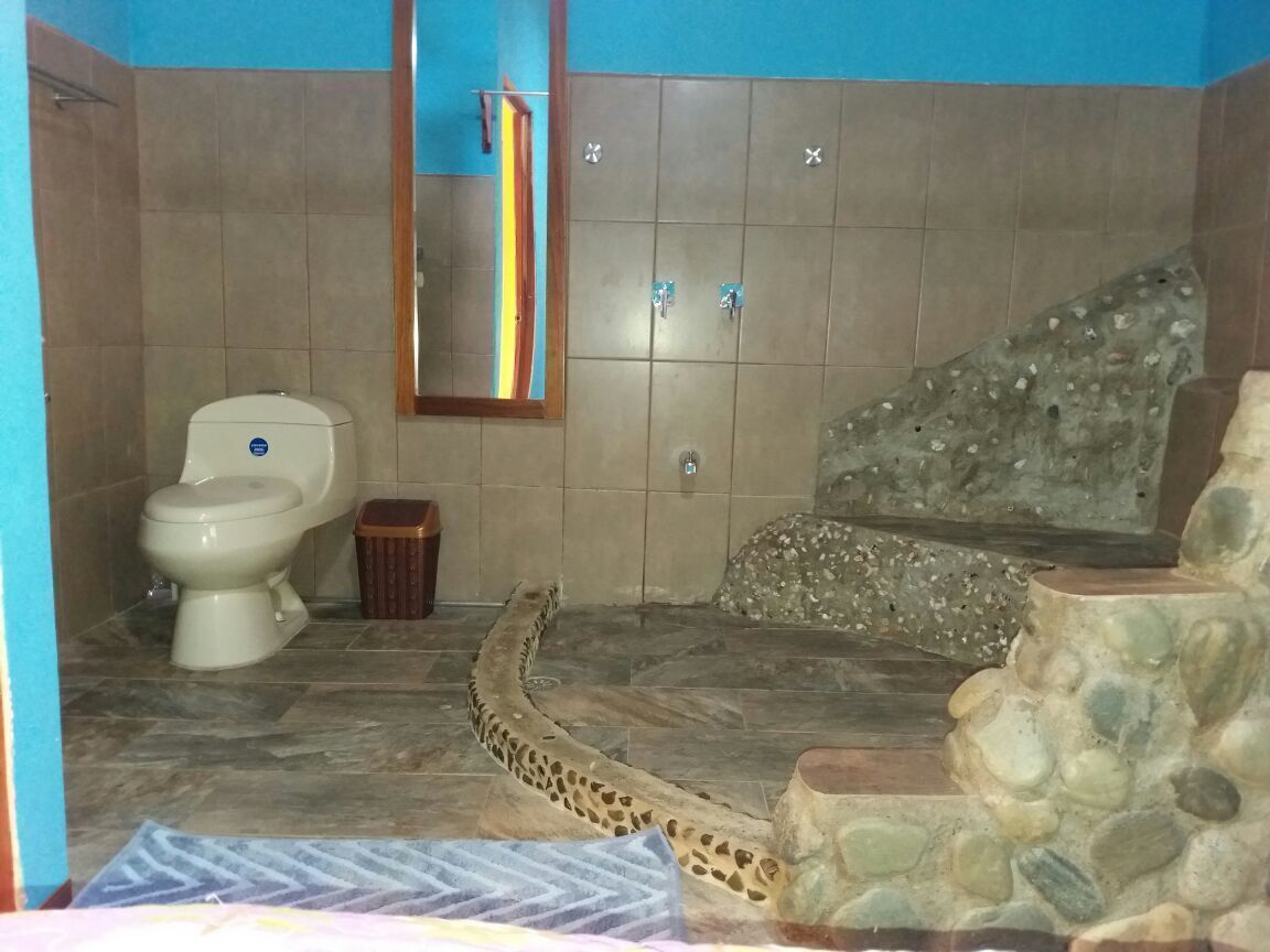 Ein Badezimmer mit Toilette, Mülleimer, Spiegel und einer Steinwand.