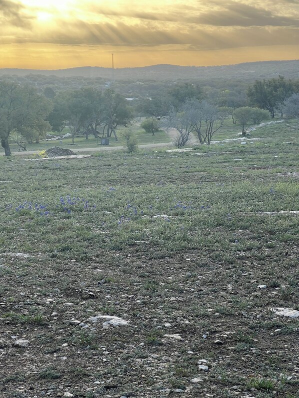 منوع