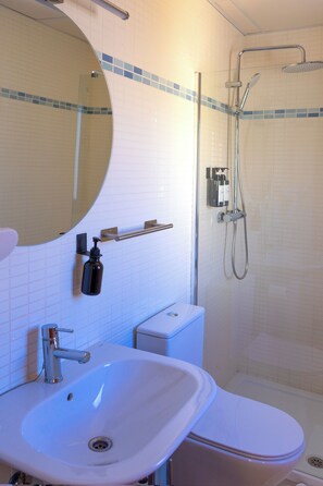 Shower, hair dryer, bidet, towels