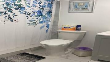 Hair dryer, towels, toilet paper