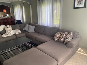 Smart TV, chimenea, reproductor de DVD y estéreo 