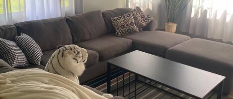 Smart TV, chimenea, reproductor de DVD y estéreo