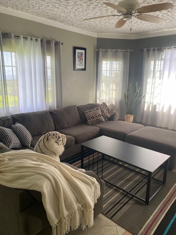 Smart TV, fireplace, DVD player, stereo