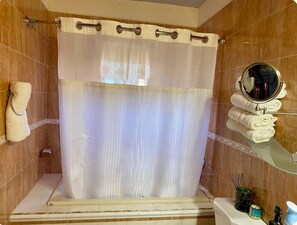 Dusche, Whirlpool, Haartrockner, Handtücher
