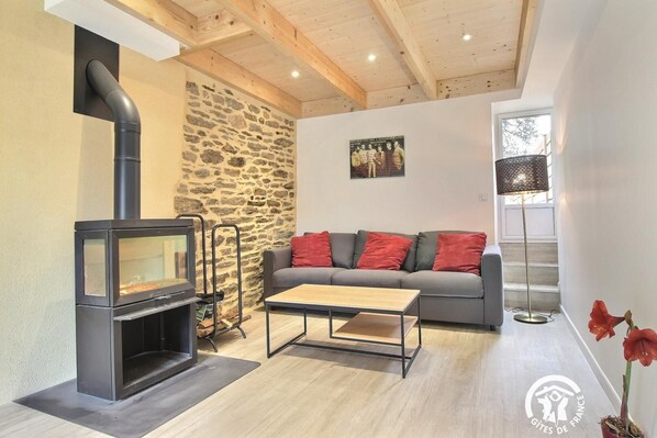 Televisión, chimenea y libros