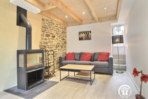 TV, fireplace, books