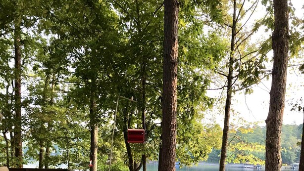 A wooden deck with benches overlooking a lake, surrounded by trees. - Peaceful Retreat on the Lake (Hot Springs Village)