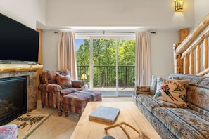 Smart TV, fireplace, music library
